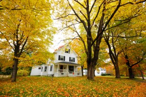 House-in-Autumn