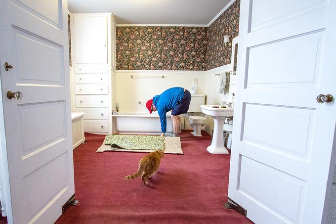 bathroom-materials-carpet-standard_628301d07150f04bea1716f0830ffe78_680x454_q85